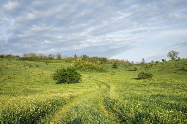 Esperienze imperdibili a venezia: scopri le gemme nascoste oltre i famosi canali!